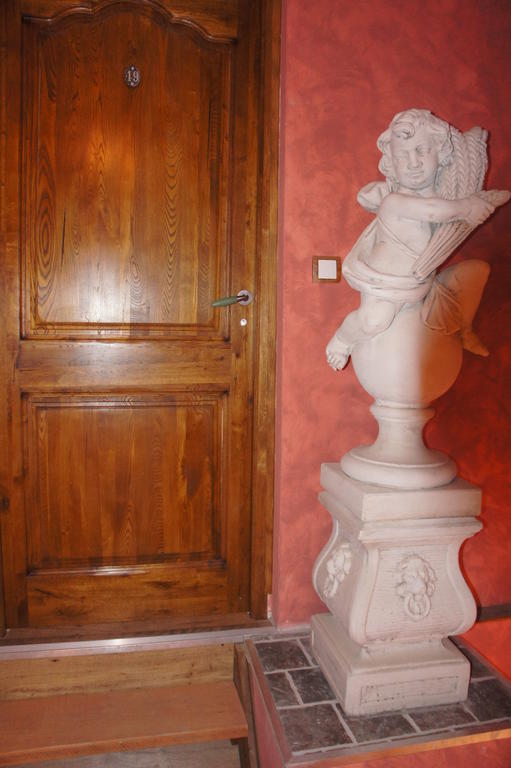 Aux Logis De La Solre Bed and Breakfast Ferrière-la-Petite Rum bild