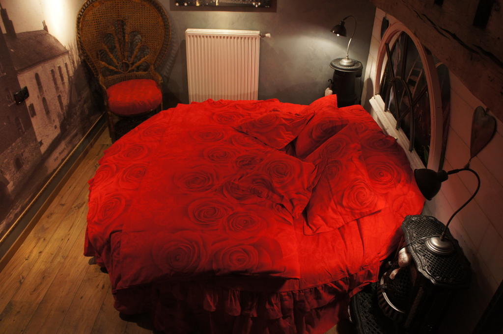 Aux Logis De La Solre Bed and Breakfast Ferrière-la-Petite Rum bild
